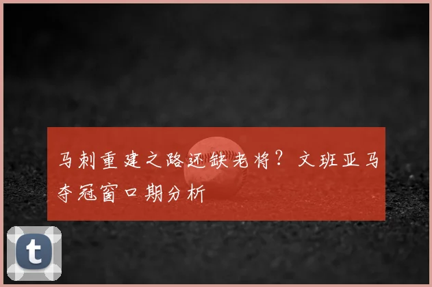 马刺重建之路还缺老将？文班亚马夺冠窗口期分析