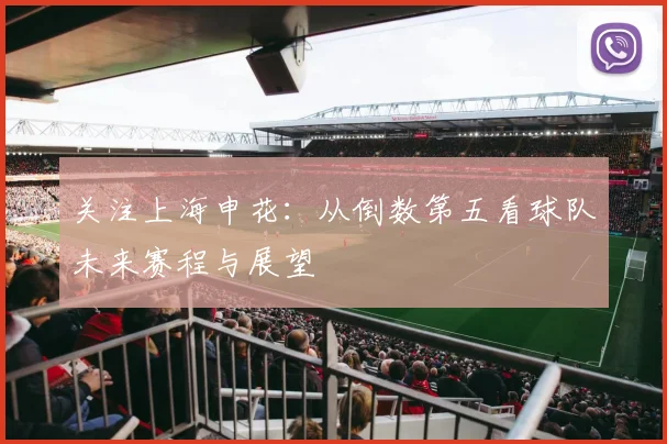 关注上海申花：从倒数第五看球队未来赛程与展望