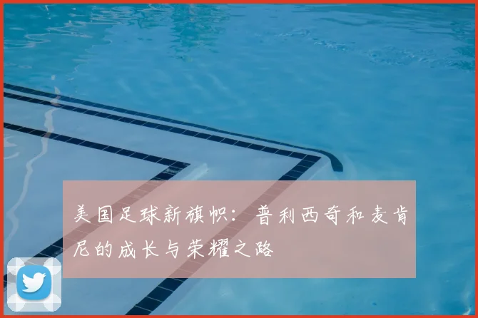 美国足球新旗帜:普利西奇和麦肯尼的成长与荣耀之路