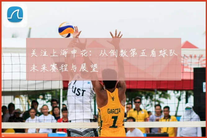 关注上海申花：从倒数第五看球队未来赛程与展望