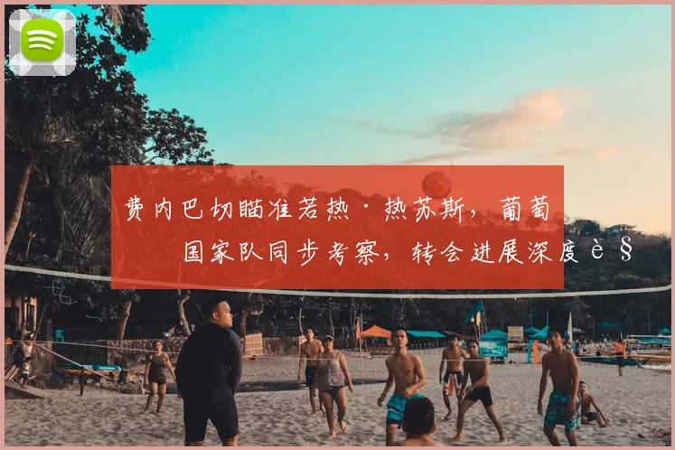费内巴切瞄准若热·热苏斯，葡萄牙国家队同步考察，转会进展深度解读