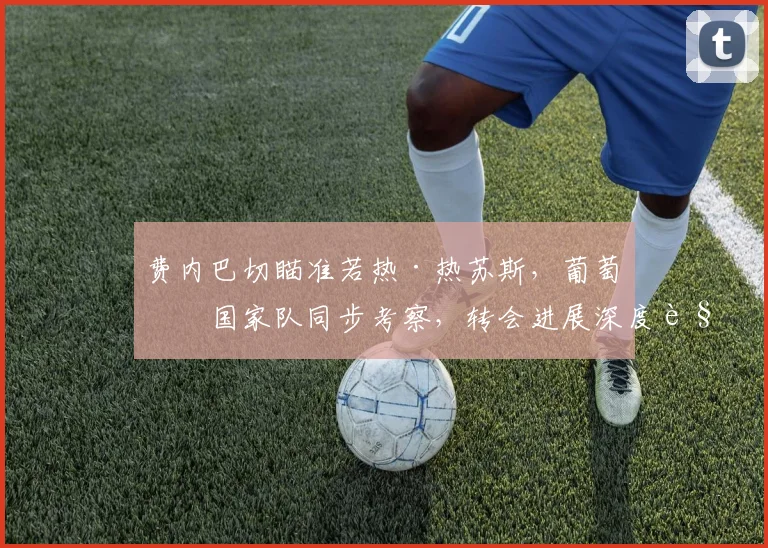 费内巴切瞄准若热·热苏斯，葡萄牙国家队同步考察，转会进展深度解读
