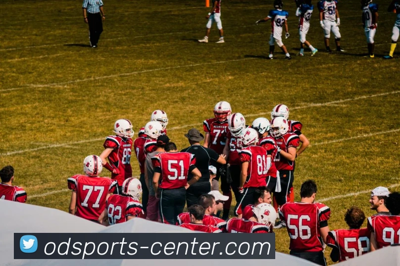互动解说服务